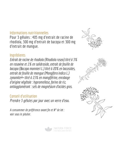 Rhodiola Rosea - gélules - Natura Force