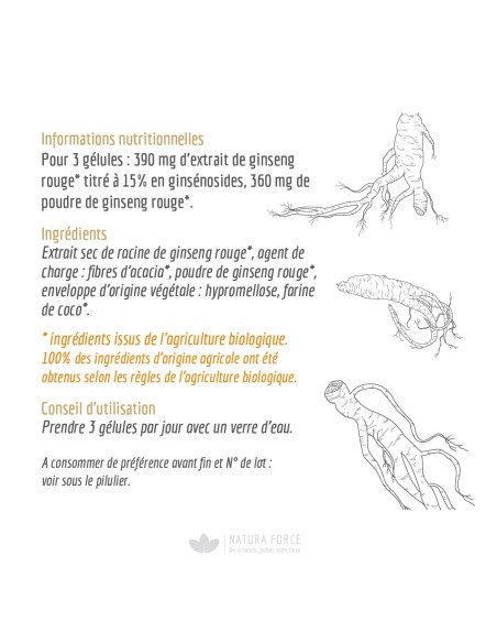 Ginseng - gélules - Natura Force