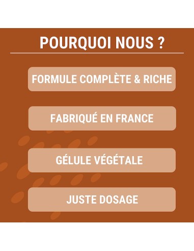 Formule Cheveux - gélule - Enova