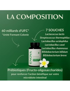 Probiotiques Flore intestinale - gélule - Enova 2