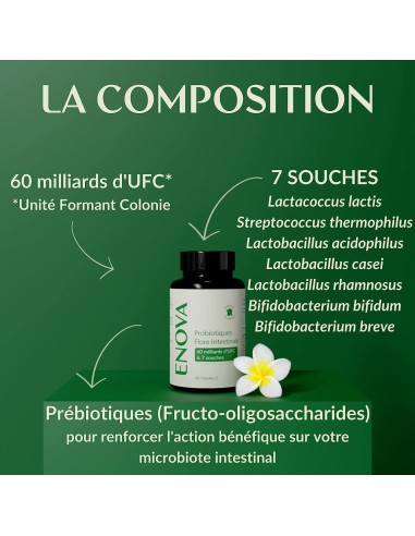 Probiotiques Flore intestinale - gélule - Enova