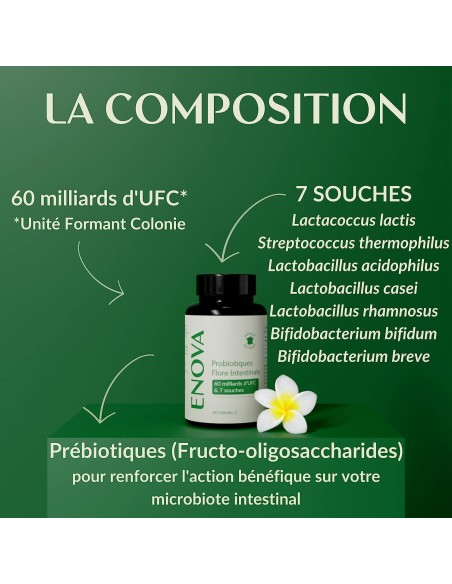 Probiotiques Flore intestinale - gélule - Enova