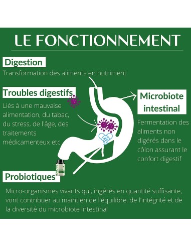 Probiotiques Flore intestinale - gélule - Enova