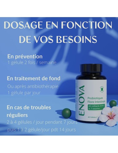Probiotiques Flore intestinale - gélule - Enova
