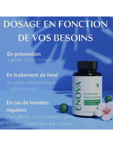 Probiotiques Flore intestinale - gélule - Enova