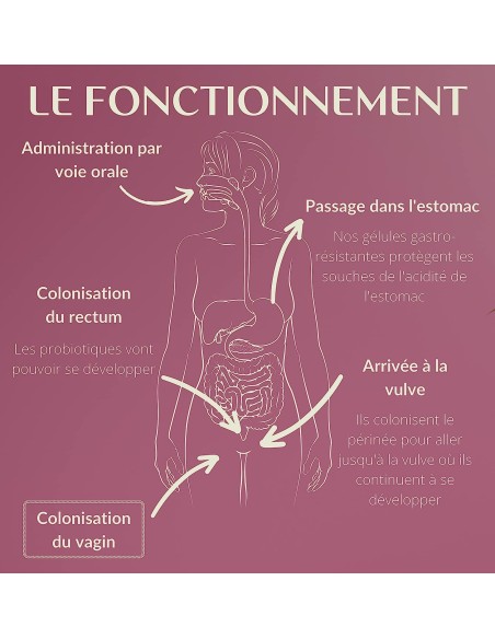 Probiotiques Flore intime - gélule - Enova