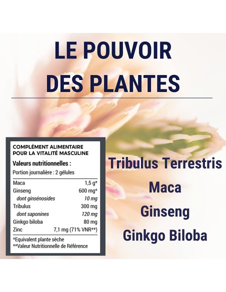 Formule Homme - gélule - Enova